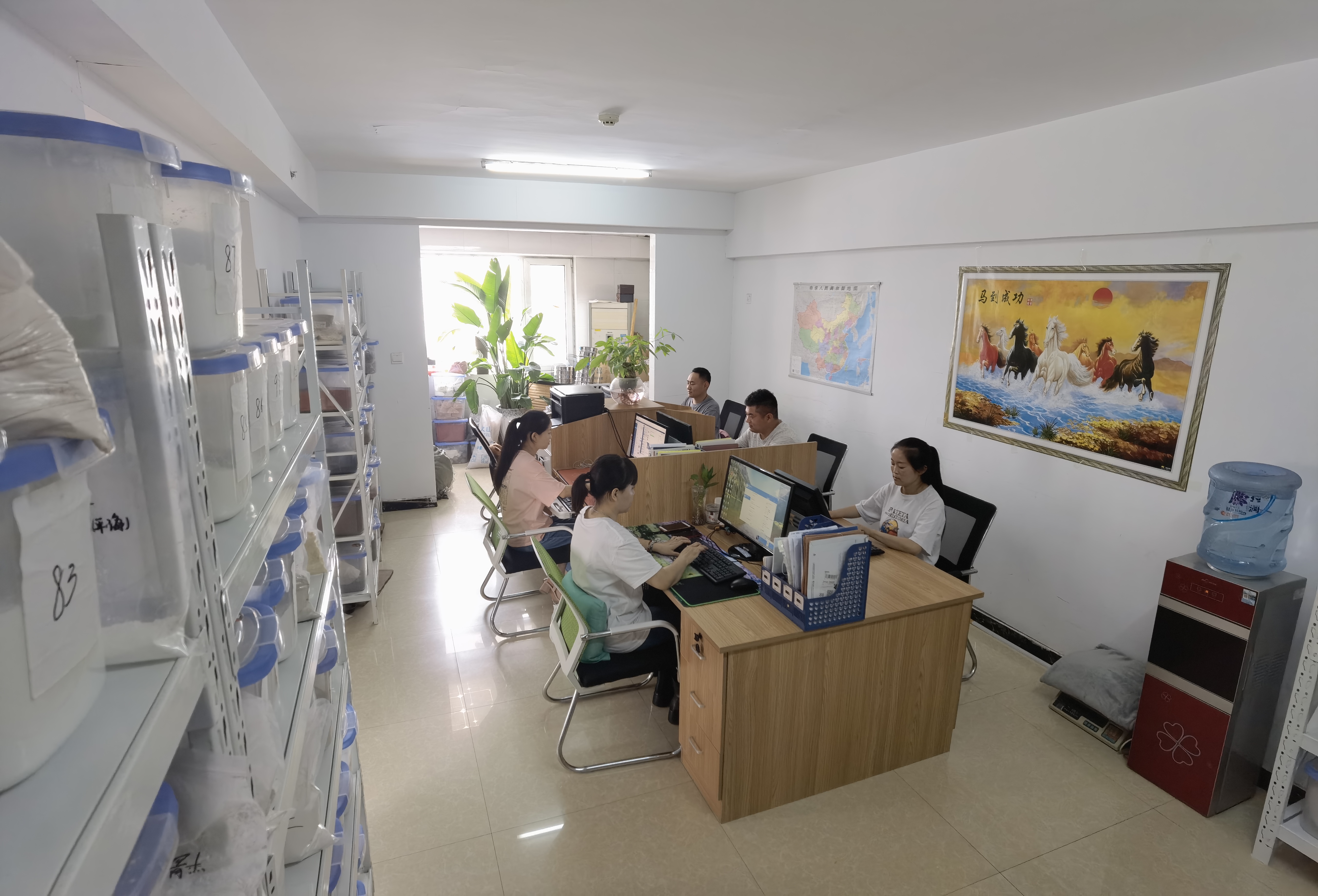 Photos of employees